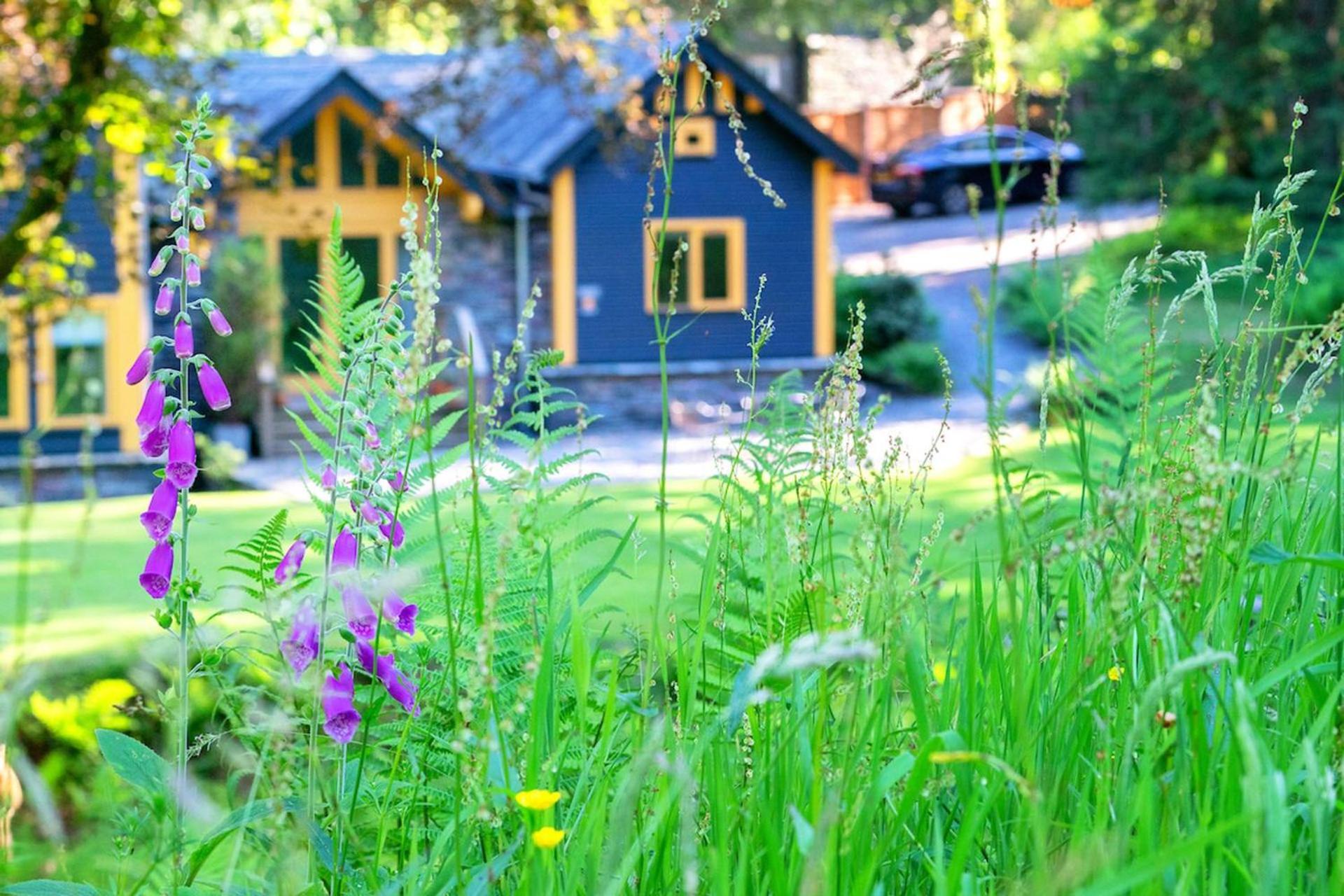 Carr Crag Pavilion Little Langdale Экстерьер фото
